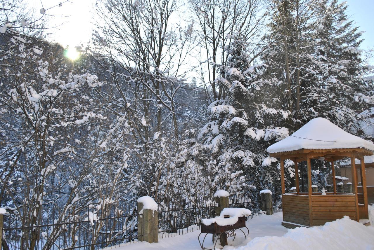 Hotel Radiola Yaremche Dış mekan fotoğraf